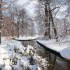 Zima w ogrodach wilanowskich, fot. J. Dobrzańska3.JPG