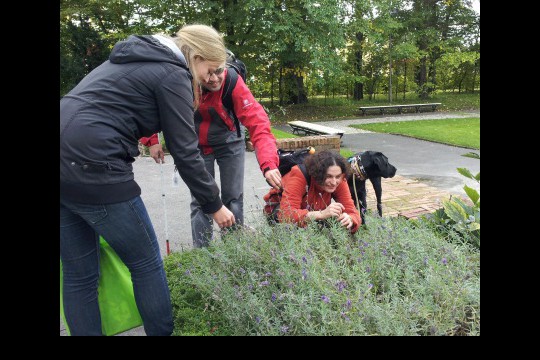 Spacer przyrodnicze z audiodeskrypcją_28.09.2013 (16).jpg