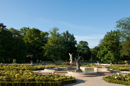 Ogród różany, fot. W. Holnicki.jpg