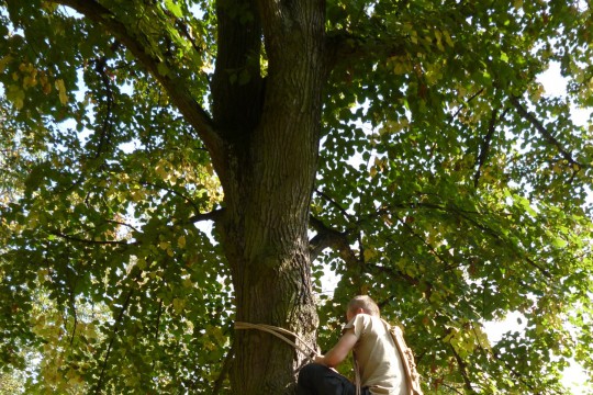 8. Pokaz wspinania się na drzewo za pomocą leziwa. Fot. Piotr Zwierzchowski.JPG