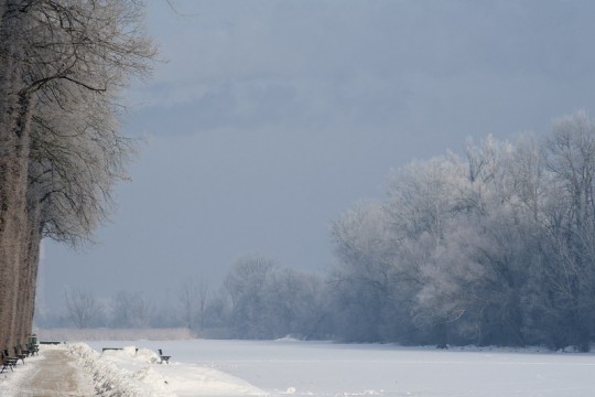 Zima w Wilanowie, fot. Wojciech Holnicki