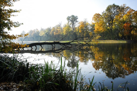 Jezioro Wiilanowskie, fot. Monika Klimowicz