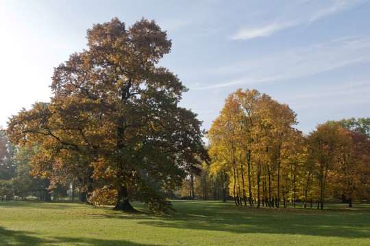 Park Południowy, fot. W. Holnicki.jpg