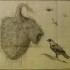 Remizy i uczeni, czyli o ptaszku-rzemieślniku i jego kunsztownych gniazdach