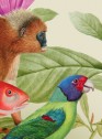 „Rośliny i zwierzęta. Atlasy historii naturalnej w epoce Linneusza” | wystawa 7 maja – 14 sierpnia