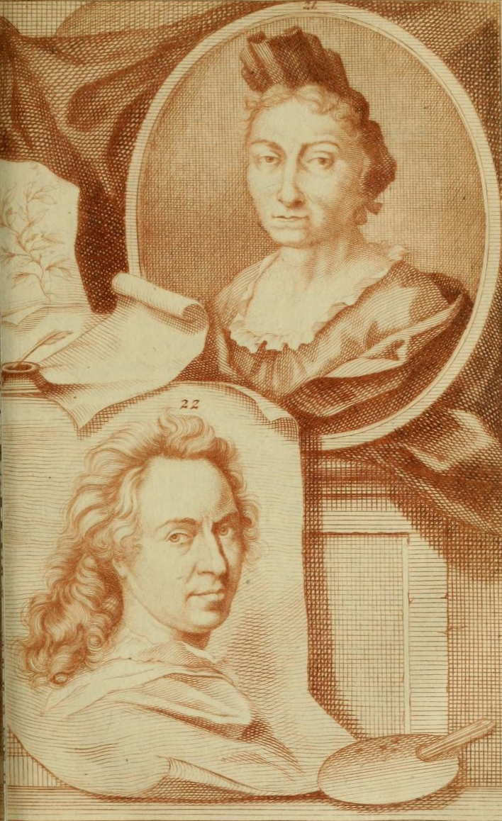 Rycina z portretem Marii Sybilii Merian