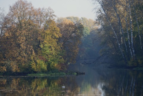 fot. Wojciech Holnicki, morysin, jezioro, jesień.jpg