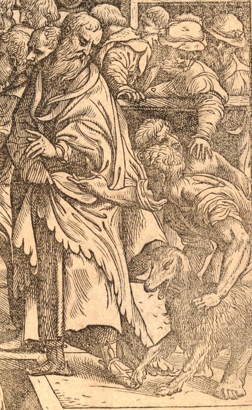Fragment frontyspisu z dzieła Andreasa Vesaliusa „De corporis humani fabrica libri septem”