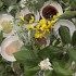 Dzień Mamy | botaniczne warsztaty tworzenia mydeł | 28 maja 