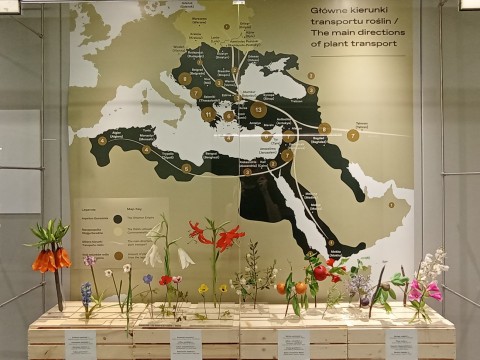 Wystawa „Orientalny raj. Wpływy tureckie w ogrodach polskich”