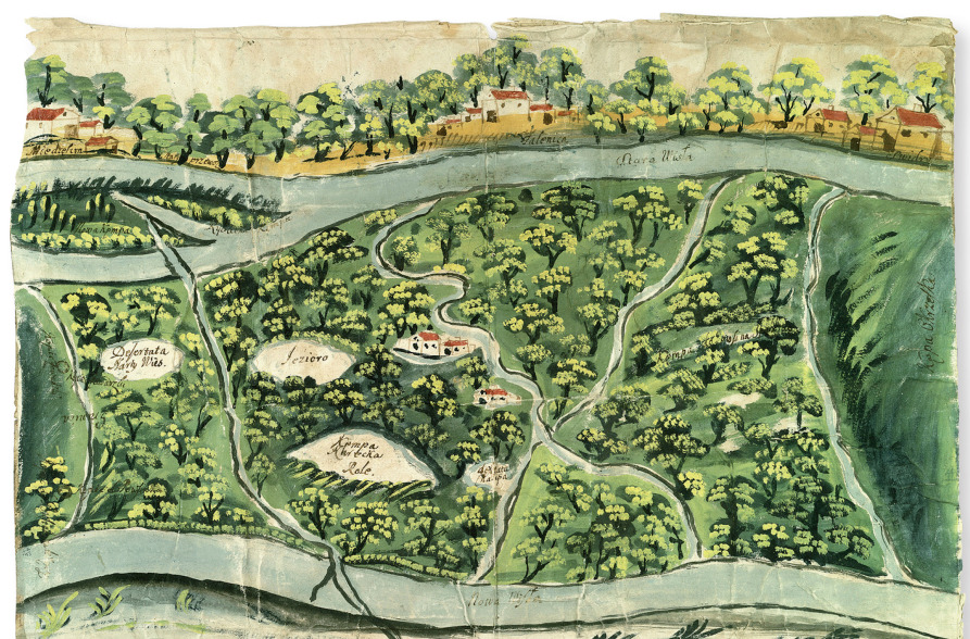 Praca malarska w zielonej kolorystyce. Przedstawia ujęcie z góry, z lotu ptaka na ogrody i alejki. Pośrodku kilka domów. Powyżej pomiędzy rzędem drzew widać domy z czerwonymi dachami.