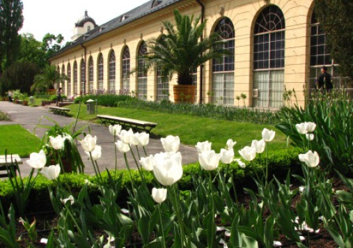 Kolorowe zdjęcie współczesne. Przedstawia niski budynek w otoczeniu kwiatów. Jest to oranżeria położona w północnej części parku wilanowskiego.
