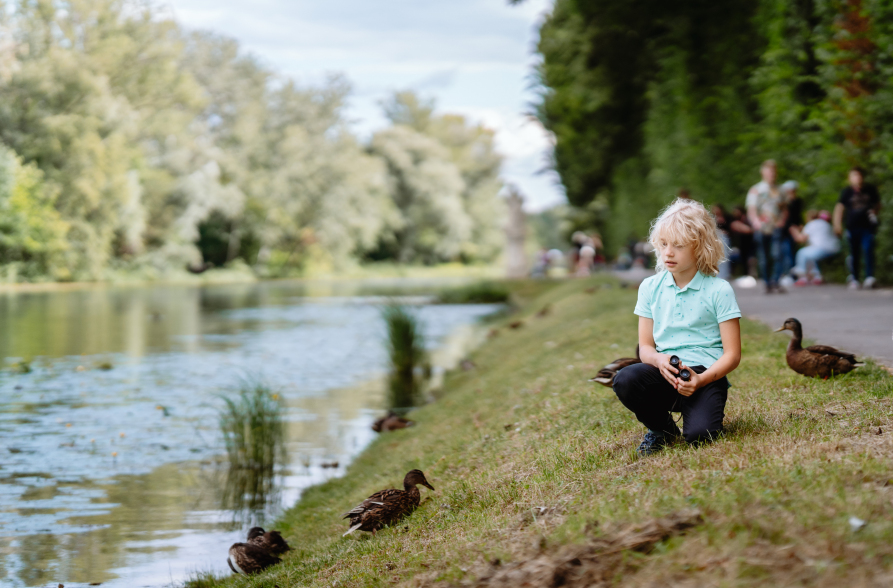 Kolorowe zdjęcie współczesne. Ukazuje małego chłopca klęczącego na trawie i karmiącego kaczki. Po prawej stronie alejka, po lewej stronie rzeka. W tle drzewa.